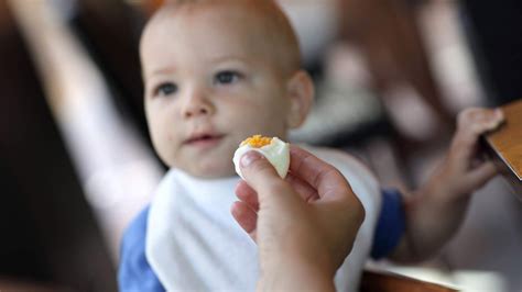 yumurta alerjisi bebek kahvaltı